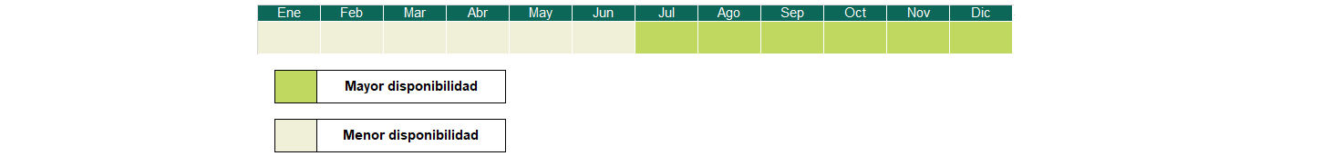 CalendarioTamarillo1